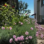Apartman Mandic - Doma *